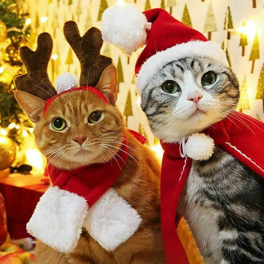 Pet Santa Hat & Scarf