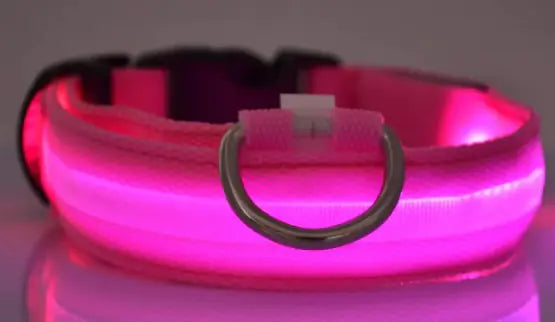 Nylon LED Pet Luminous Collar